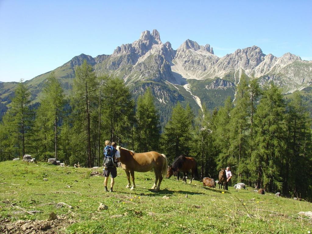 Appartamento Haus Panorama Filzmoos Esterno foto